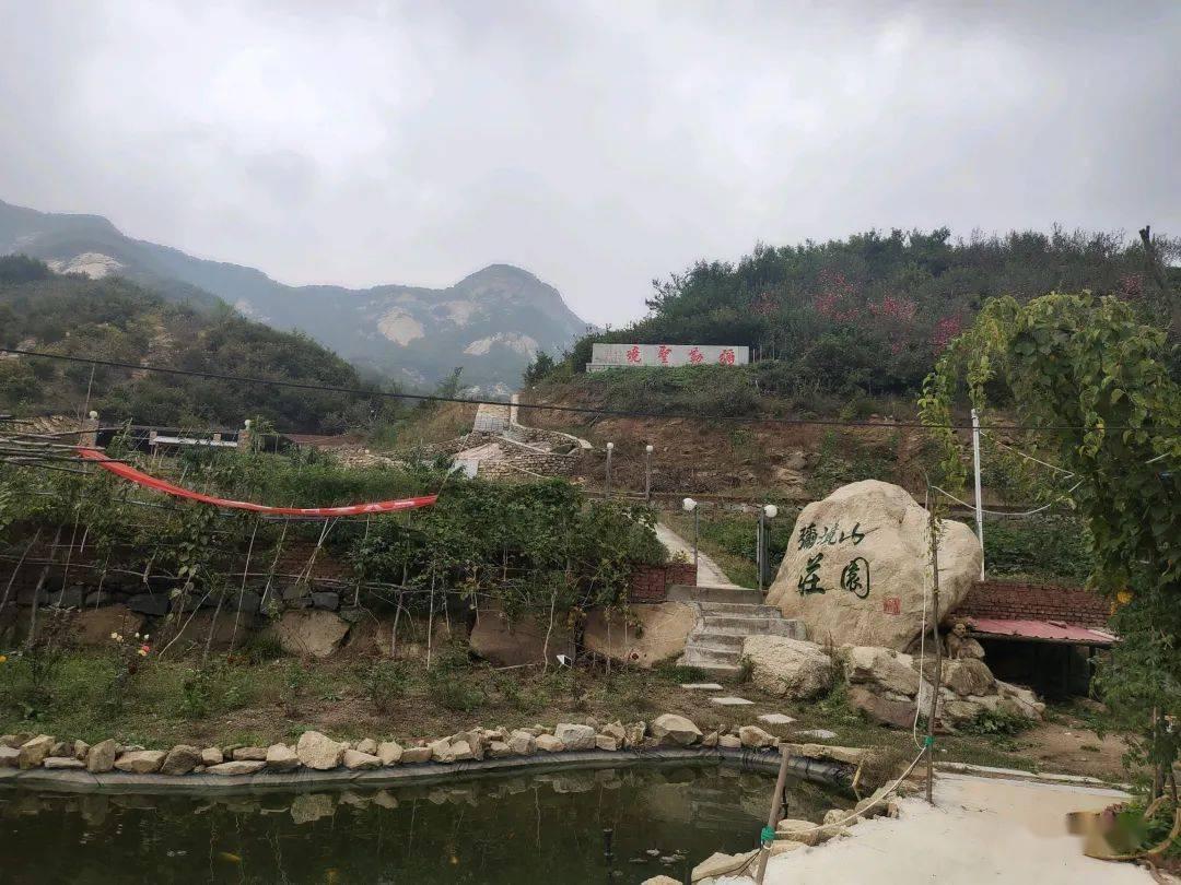 杭州一工地挖出“神秘物种”!一查身份,大有来头